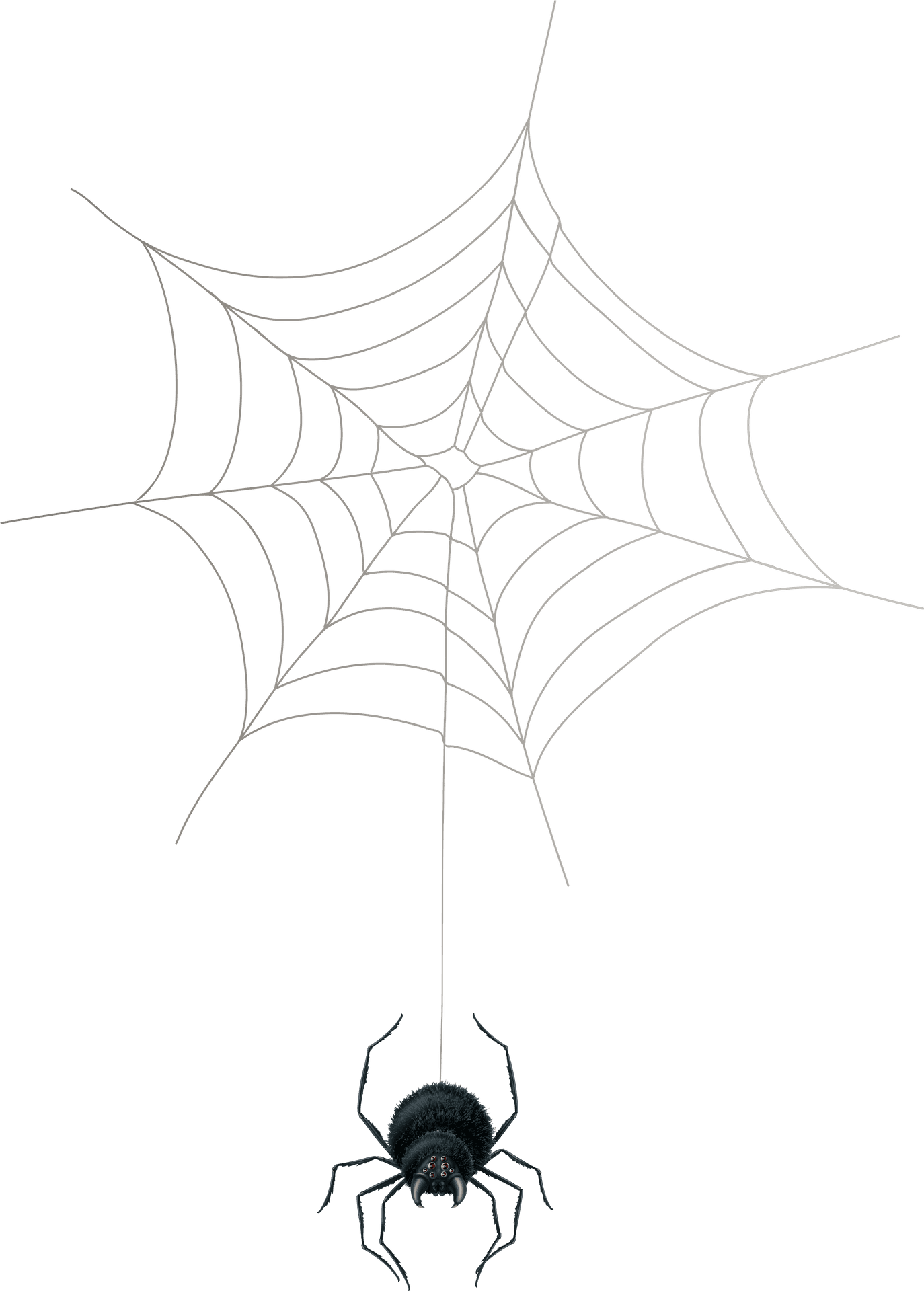 Spiderand Web Silhouette PNG Image