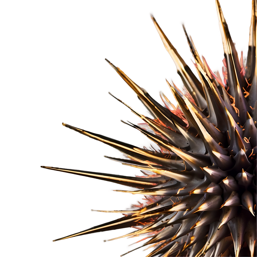 Spiky Hair Texture Png Chh16 PNG Image