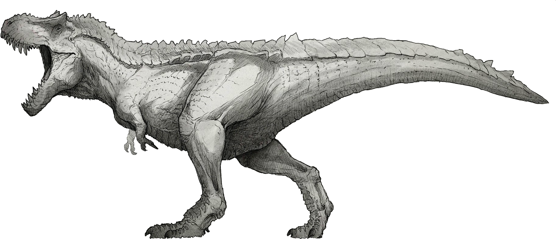 Spinosaurus Sketch Jurassic Park PNG Image