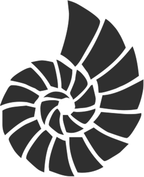 Spiral Shell Graphic PNG Image