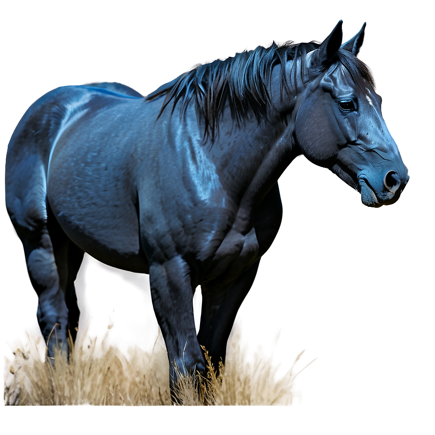 Spirit Of The Mustang Horse Png Dbw PNG Image