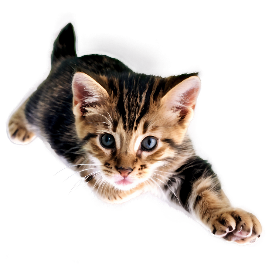 Spirited Kitten Leap Png 98 PNG Image