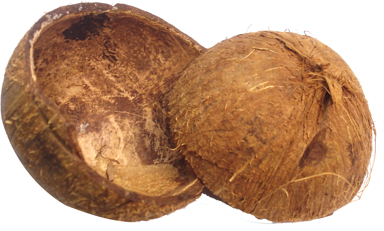 Split Coconut Halves PNG Image