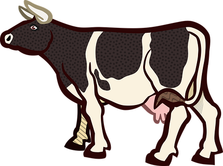 Spotted Cow Illustration PNG Image