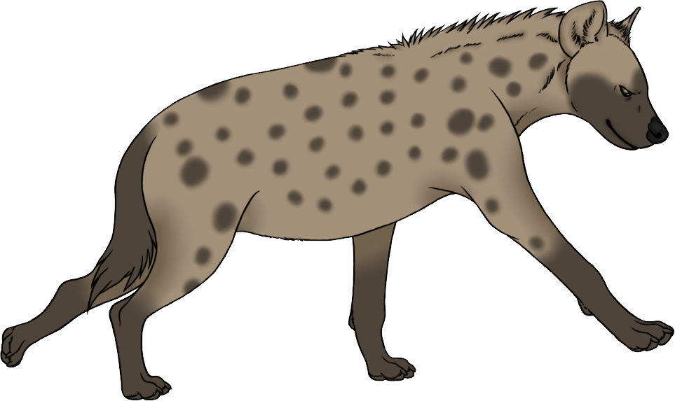 Spotted Hyena Illustration PNG Image