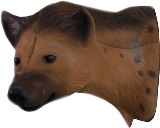 Spotted Hyena Mask Profile PNG Image