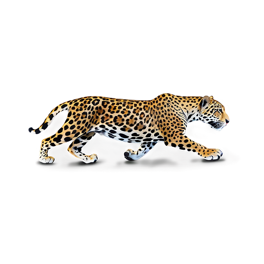 Spotted Jaguar Png Ixm41 PNG Image