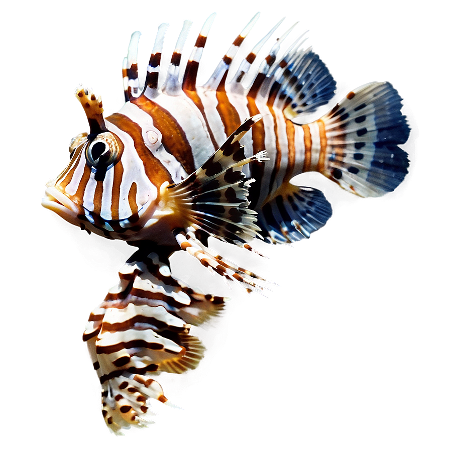 Spotted Lionfish Png 60 PNG Image