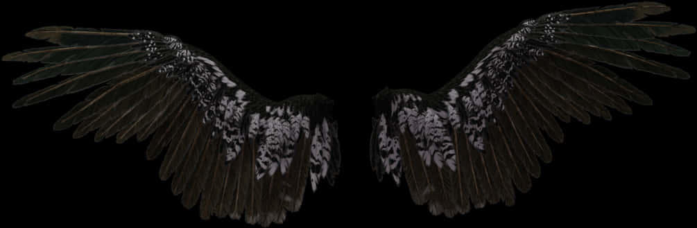 Spread Angel Wings Black Background PNG Image