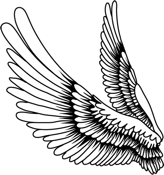 Spread Wings Line Art Drawing PNG Image