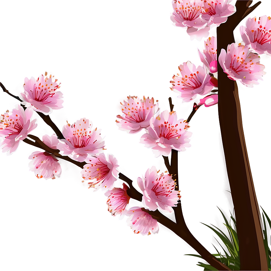 Spring Cherry Blossom Scene Png Kuc PNG Image