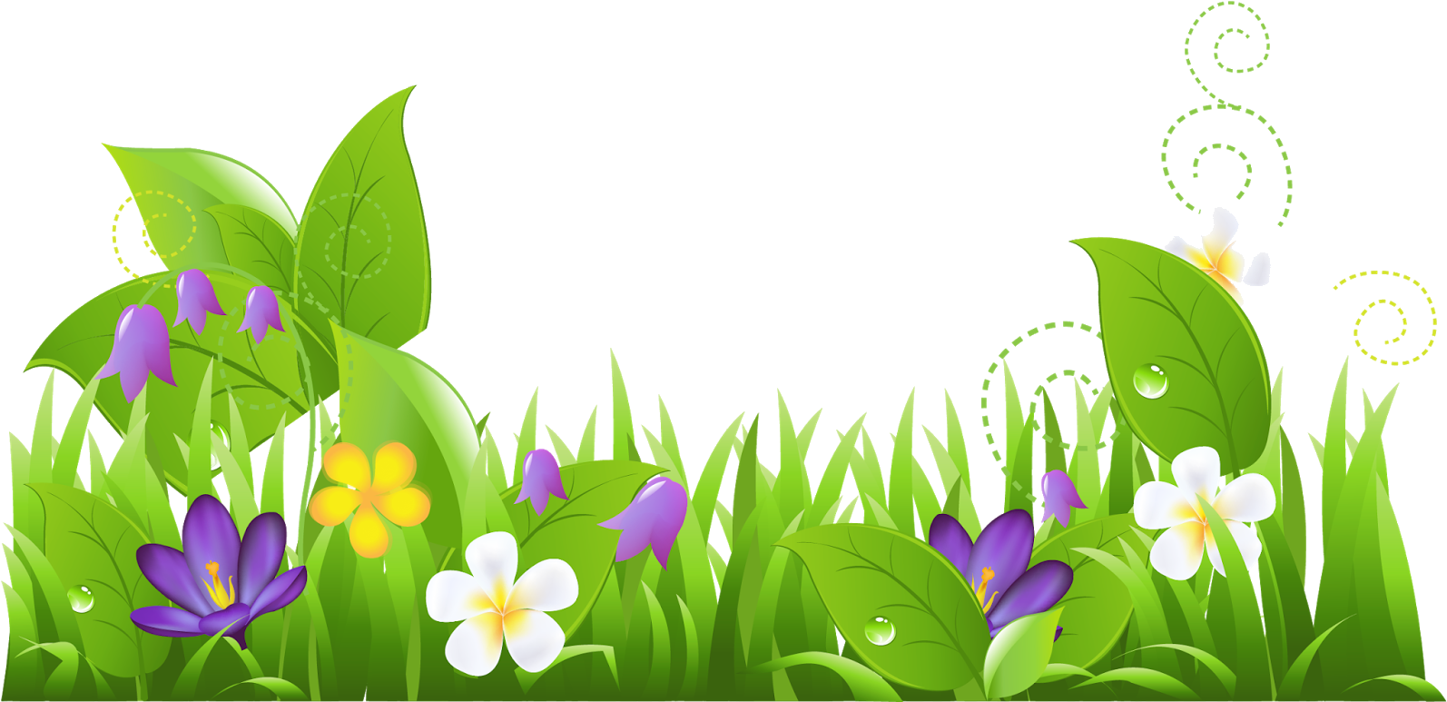 Spring Floral Vector Design PNG Image