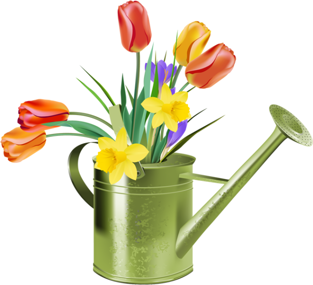 Spring Flowersin Watering Can PNG Image