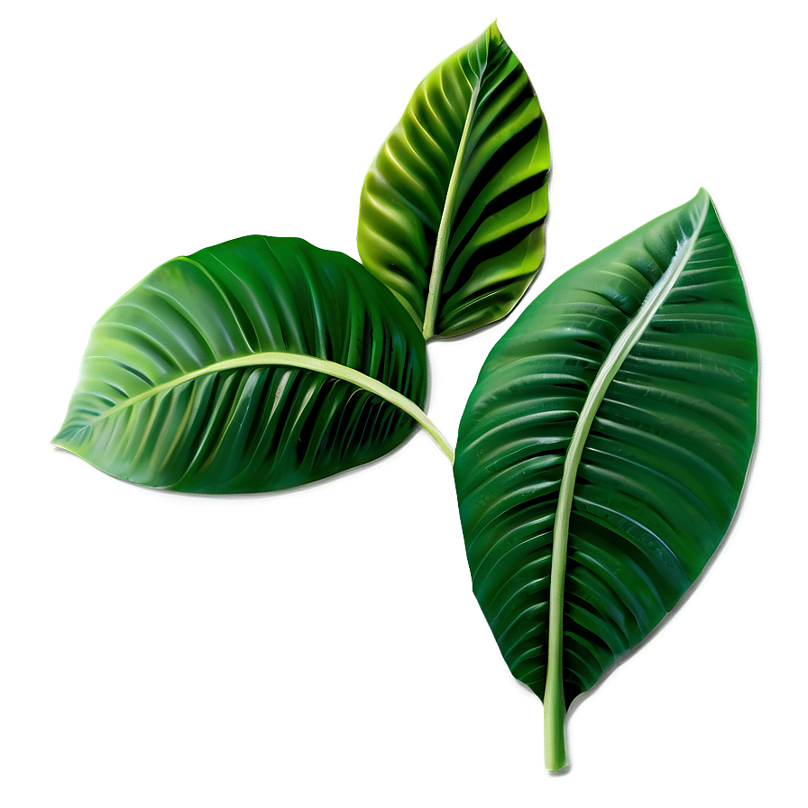 Spring Green Leaves Png 05212024 PNG Image