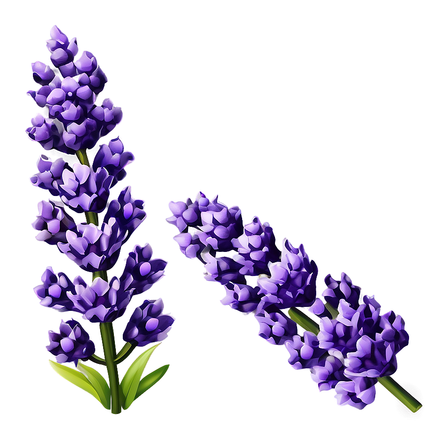 Spring Lavender Flower Png 06272024 PNG Image