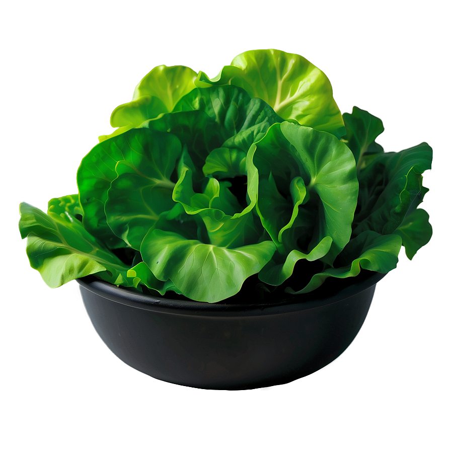 Spring Mix Lettuce Png 14 PNG Image