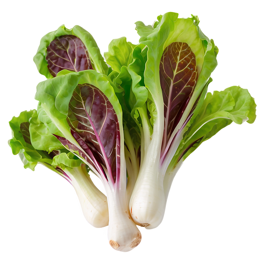 Spring Mix Lettuce Png 66 PNG Image