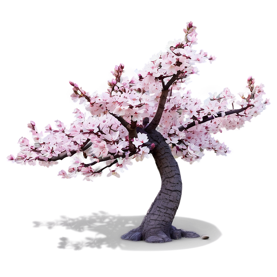 Springtime Sakura Tree Scenery Png Llu PNG Image