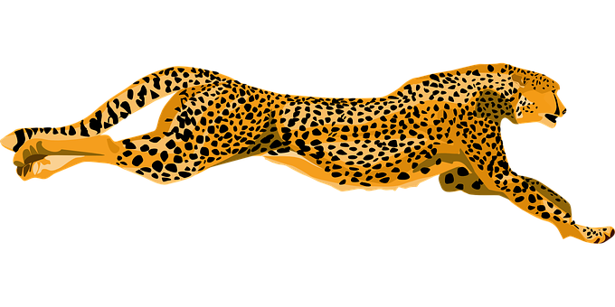 Sprinting Cheetah Illustration PNG Image