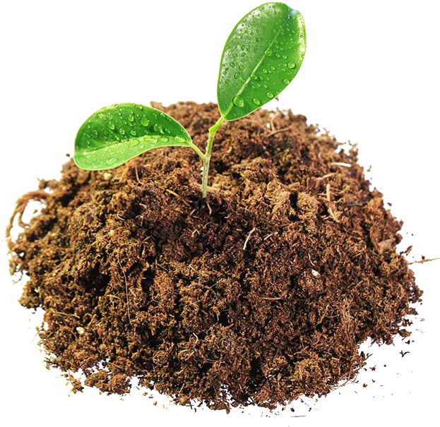 Sprouting Plantin Soil Isolated PNG Image