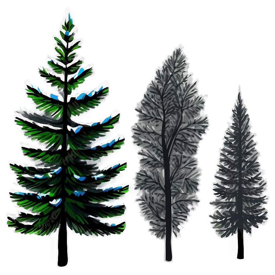 Spruce Tree Forest Landscape Png Uun PNG Image