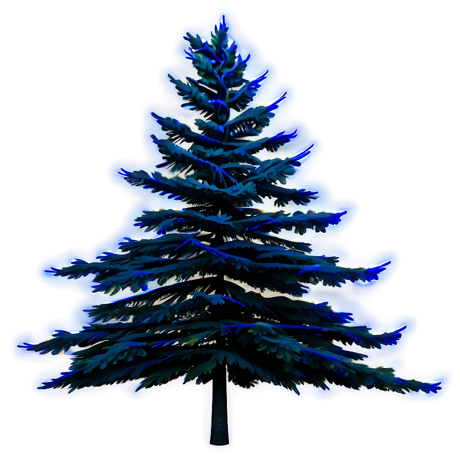 Spruce Tree Under Starry Sky Png Fri76 PNG Image