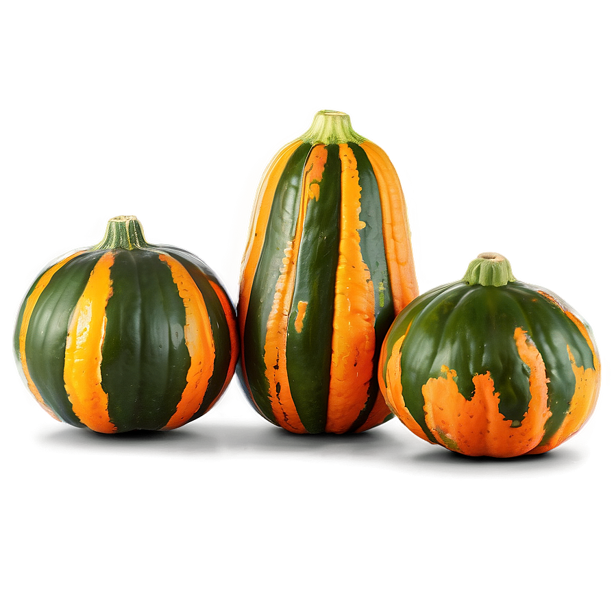 Squash Recipe Ingredient Png 13 PNG Image