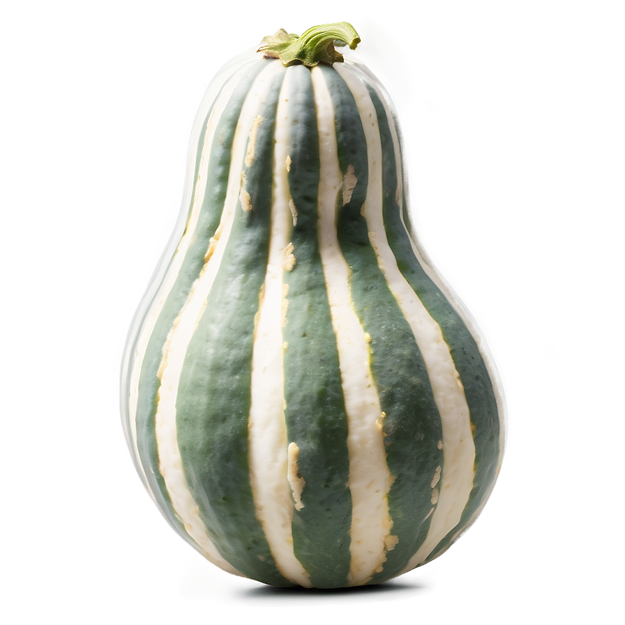 Squash Recipe Ingredient Png 38 PNG Image