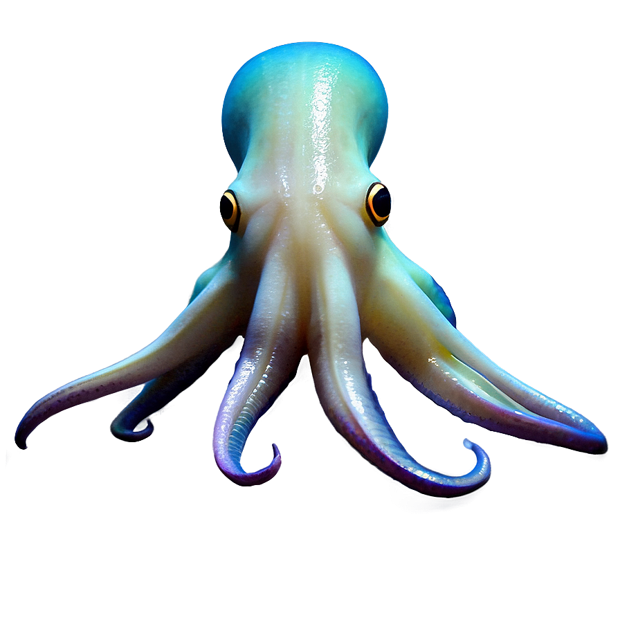 Squid Underwater Scene Png 20 PNG Image