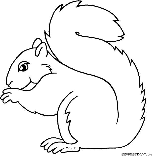 Squirrel_ Line_ Art_ Illustration PNG Image