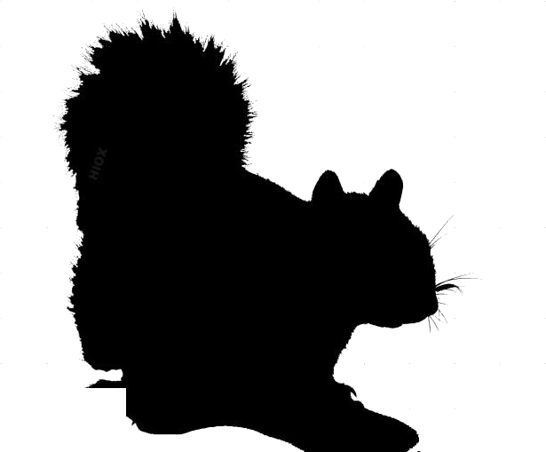 Squirrel Silhouette Profile PNG Image