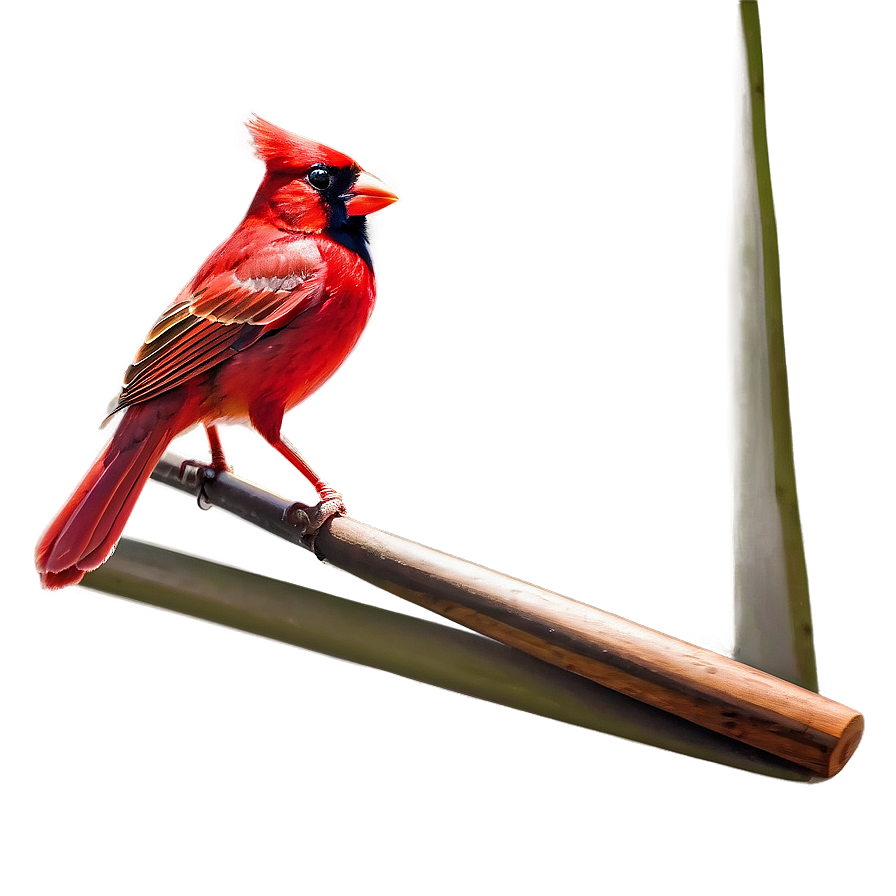 St. Louis Cardinals Logo Png 06252024 PNG Image