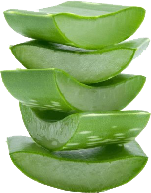 Stacked Aloe Vera Slices.png PNG Image