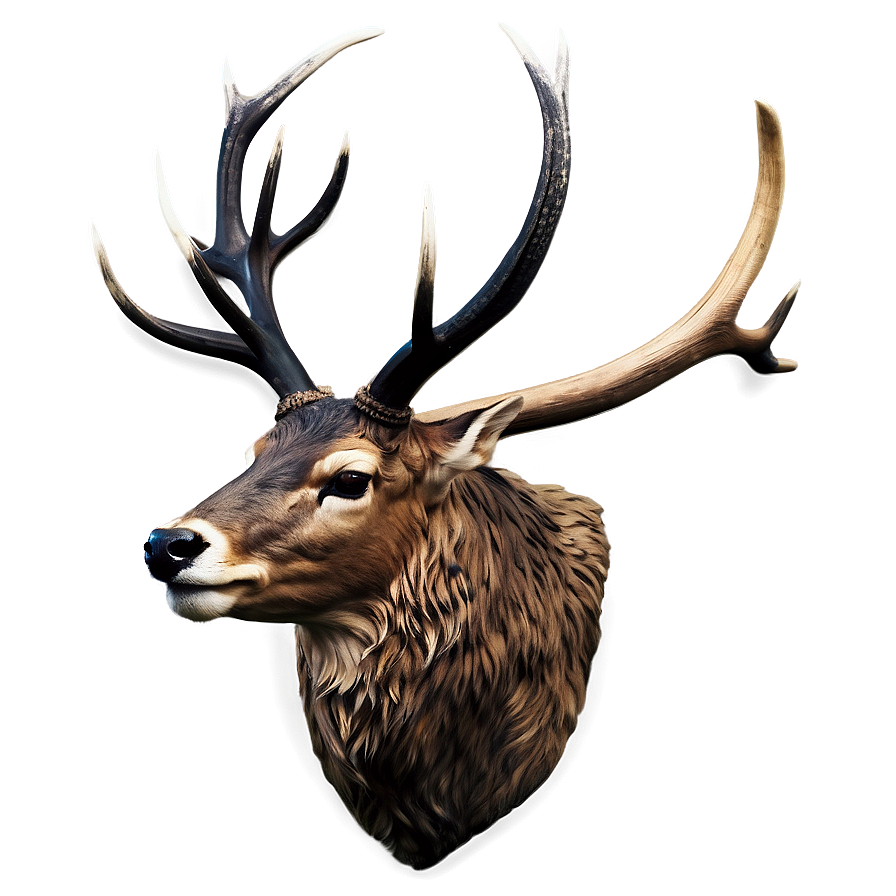 Stag Head Profile Png 06292024 PNG Image