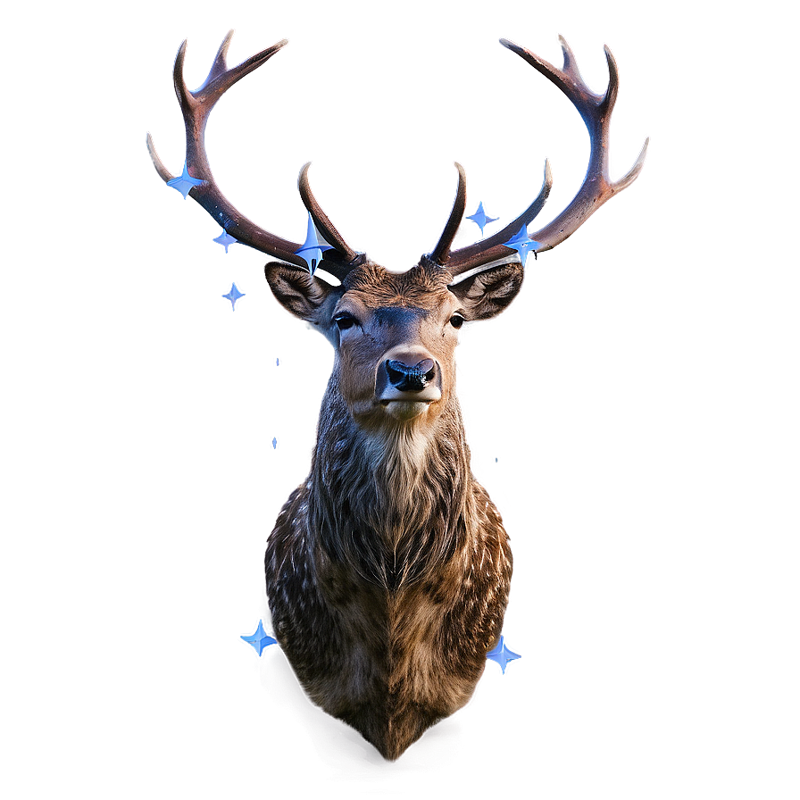 Stag Under Stars Png Dwr PNG Image