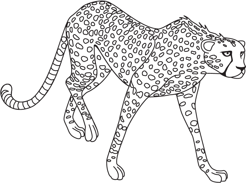 Stalking Jaguar Line Art PNG Image