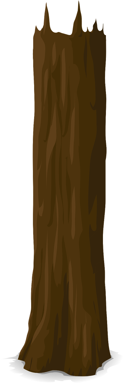 Standalone Tree Trunk Illustration PNG Image