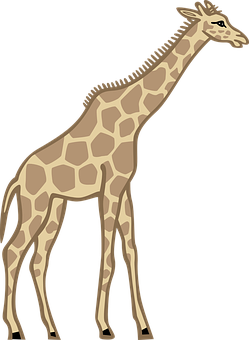 Standing Giraffe Vector Illustration PNG Image