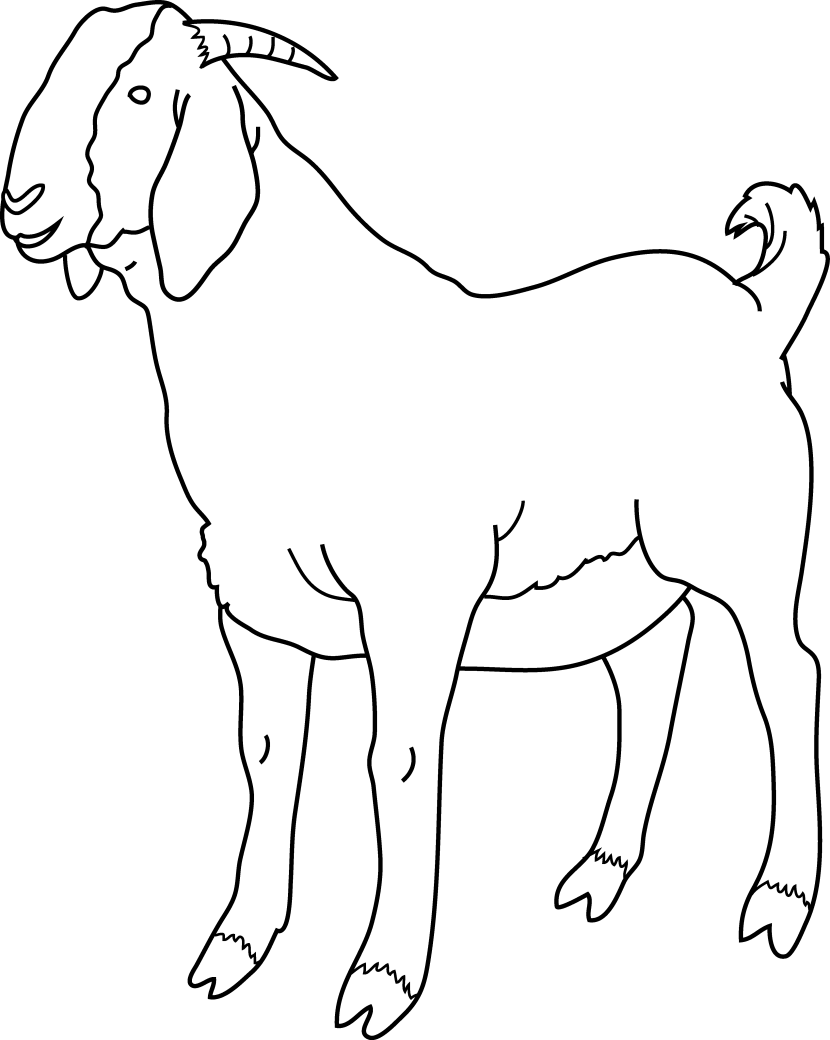 Standing Goat Line Art PNG Image