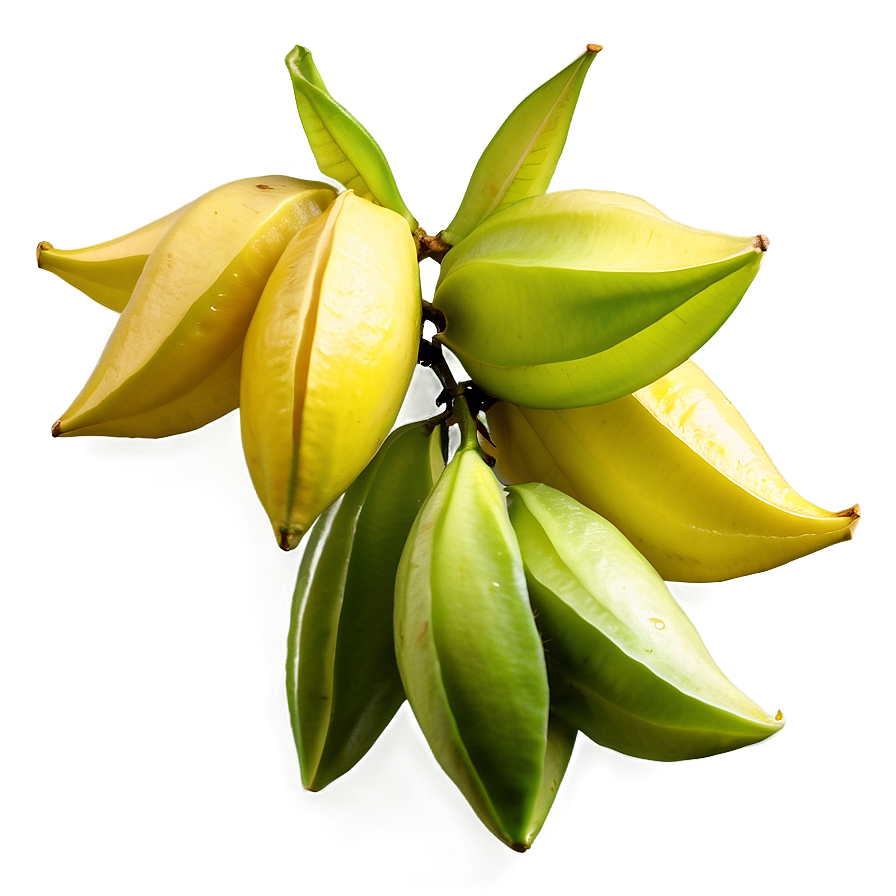 Star Fruit Cluster Png 06252024 PNG Image