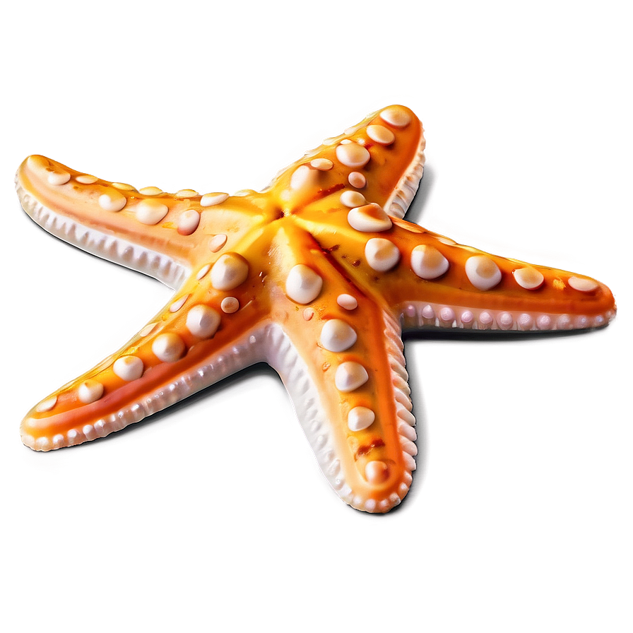 Starfish Emoji Png Qky89 PNG Image