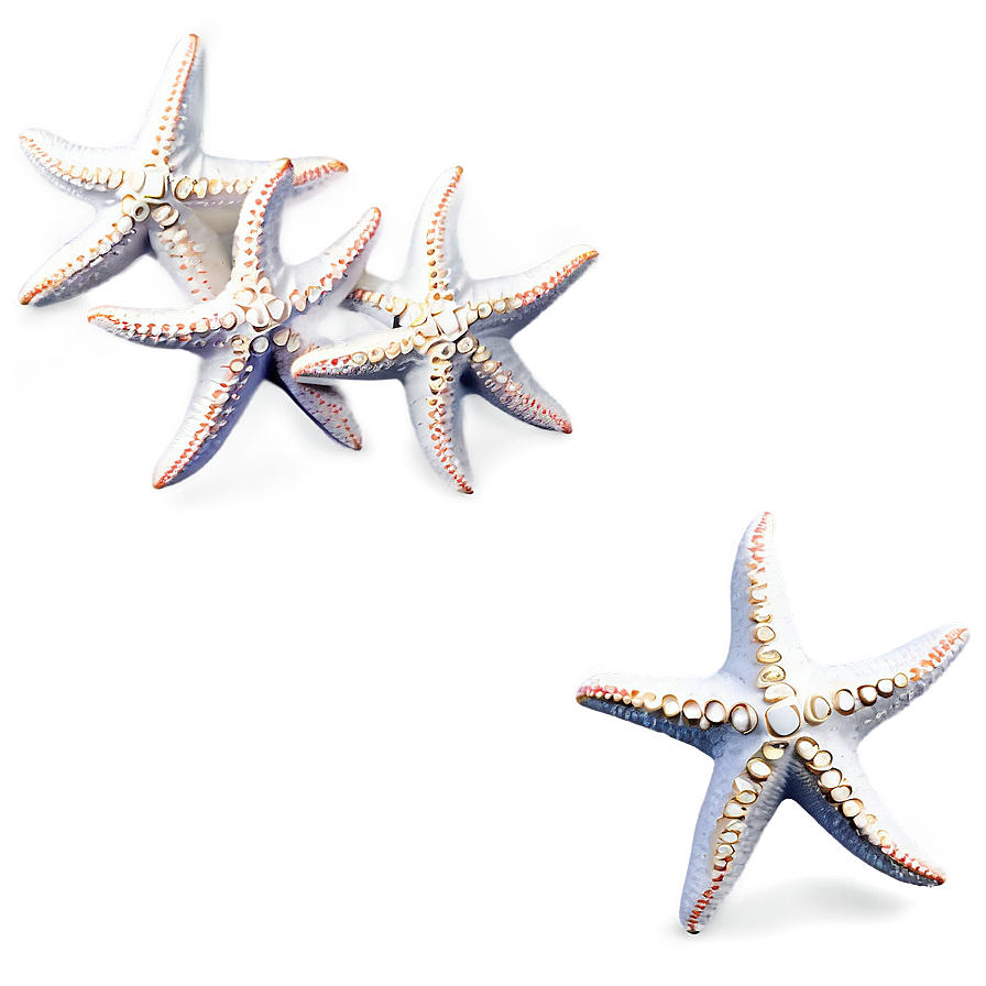 Starfish Galaxy Pattern Png Csj PNG Image