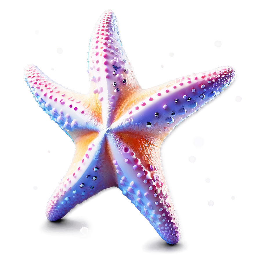 Starfish In Dreamy Style Png Ibo PNG Image