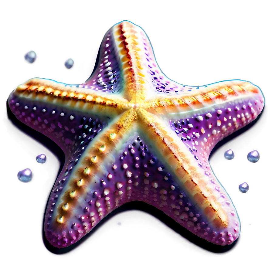 Starfish In Dreamy Style Png Xxe35 PNG Image