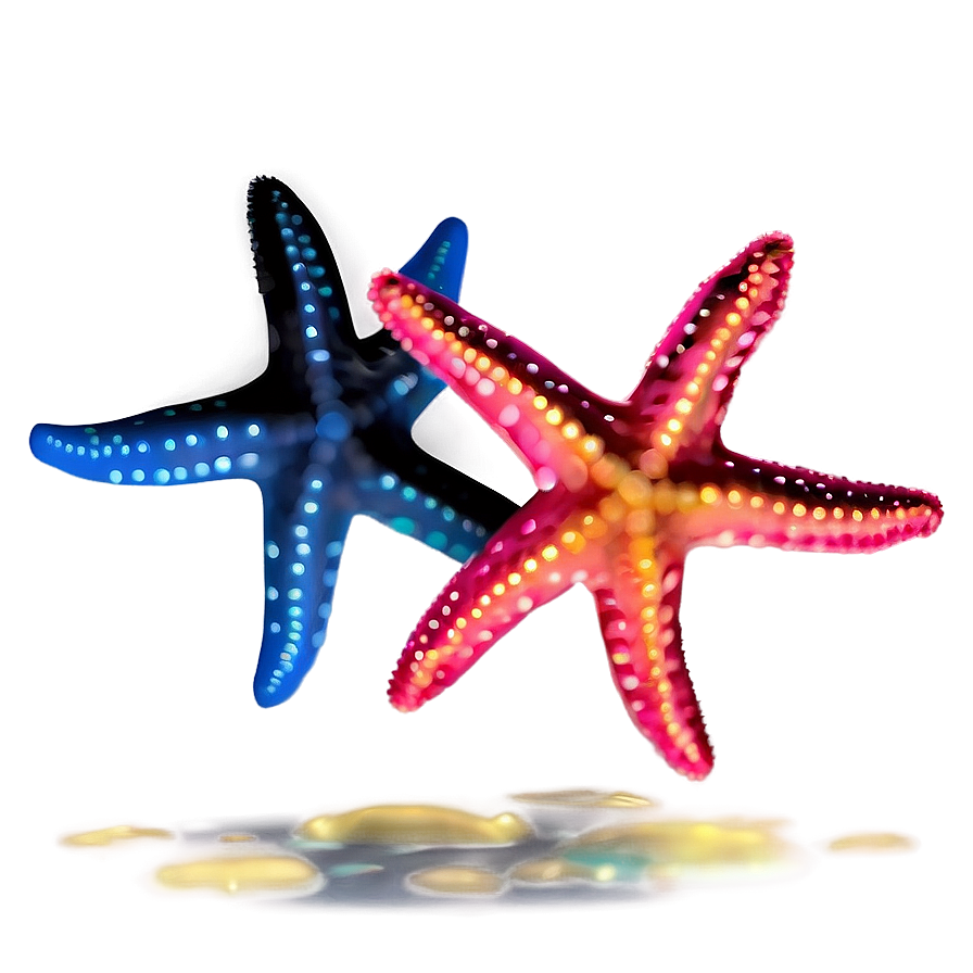 Starfish Outline Png Pmr PNG Image