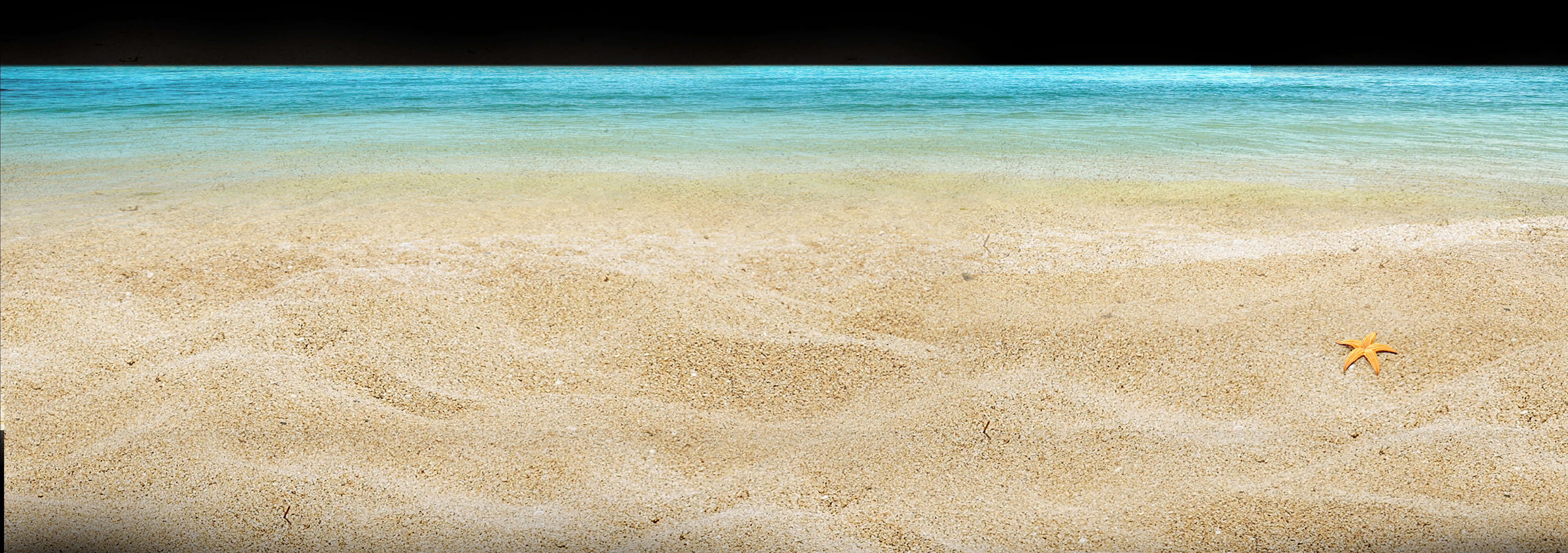 Starfishon Sandy Beach Ocean View PNG Image