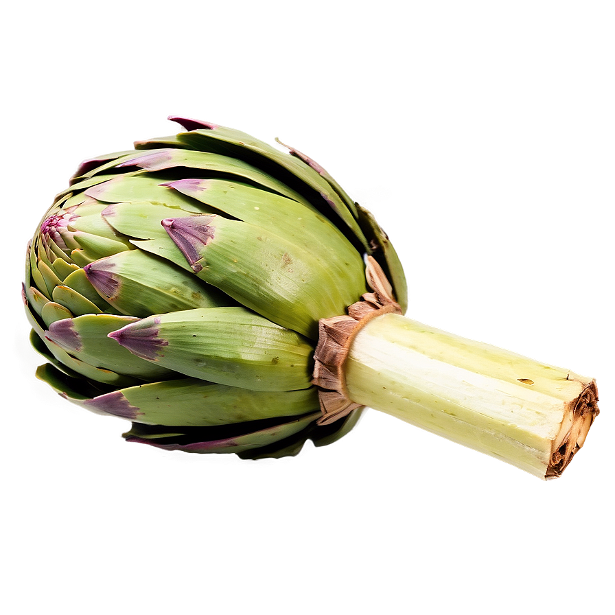 Steamed Artichoke Png 23 PNG Image