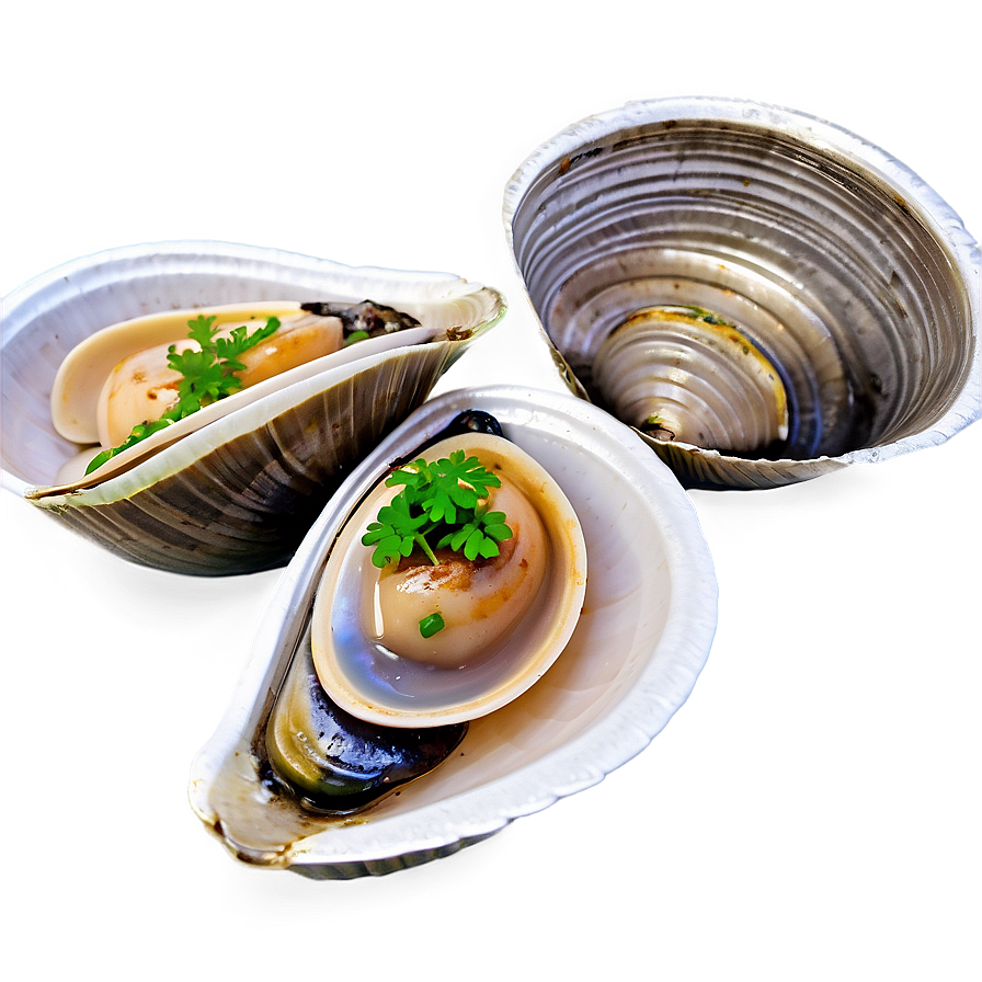 Steamed Clam Delicacy Png Wam PNG Image