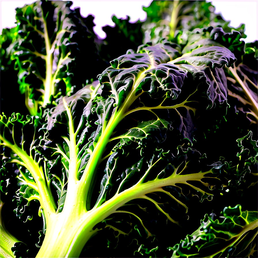 Steamed Kale Png 13 PNG Image