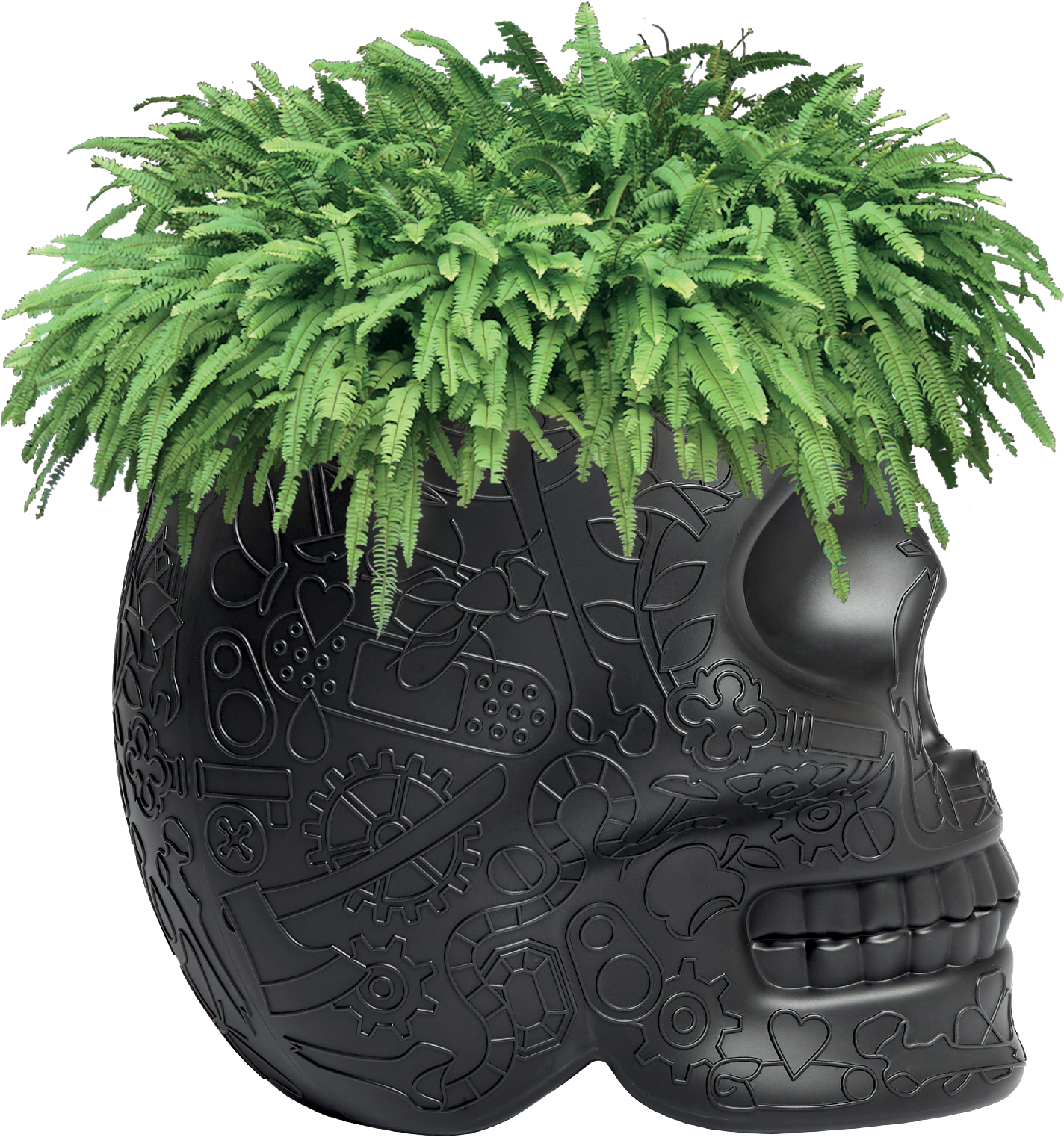 Steampunk Skull Planterwith Ferns PNG Image